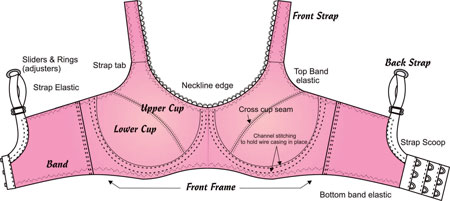 Bra diagram details - ANPTmag