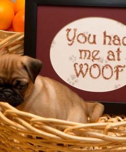 You Had Me at …Woof!