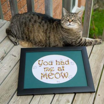 You Had Me at Meow…