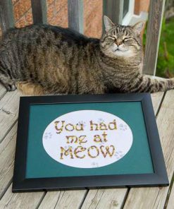 You Had Me at Meow…