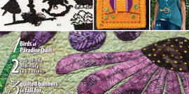 A Needle Pulling Thread Magazine Issue 45 Cover