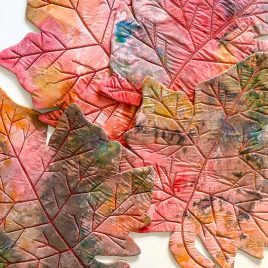 Canadian Fall Colours Placemats