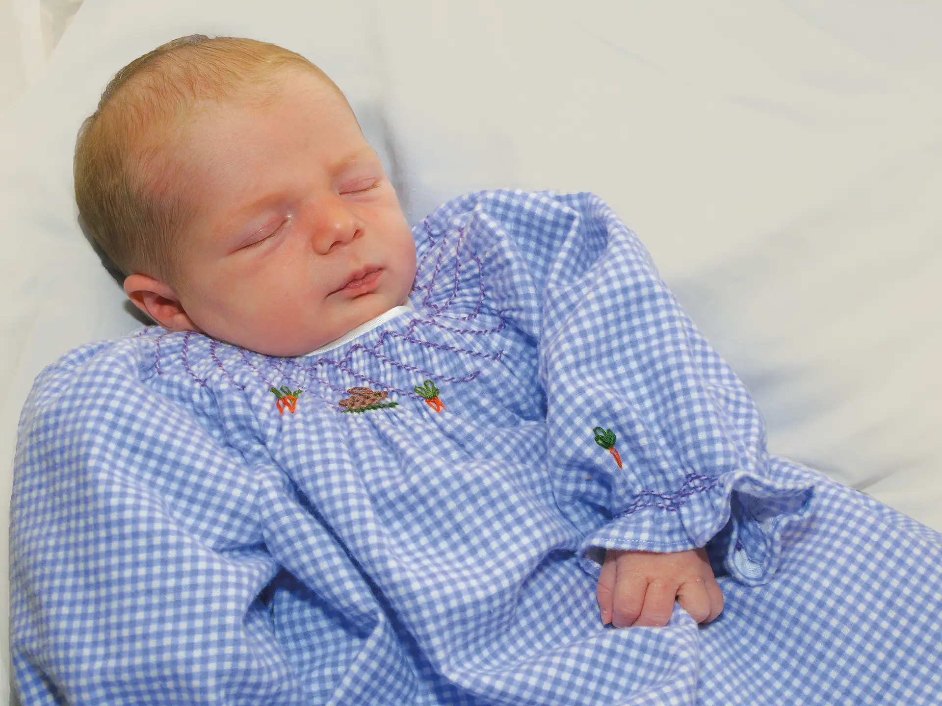 Peter in the Garden Smocked Newborn Gown